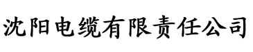 https草莓视频电缆厂logo